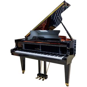 Schimmel Grand Piano used black