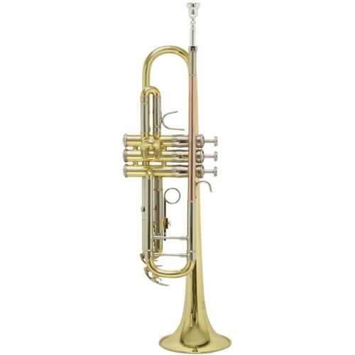 BACH TR-501 Bb-Trompete Gold