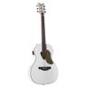Gretsch G5021WPE Rancher Penguin Parlor Acoustic / Electric - Westerngitarre
