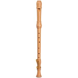 Mollenhauer 5416 Denner Double Key Tenor