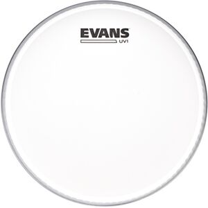 Evans 10