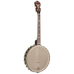 Gold Tone Irish Tenor Banjo 11