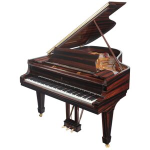 Steinway & Sons A-188 Makassar