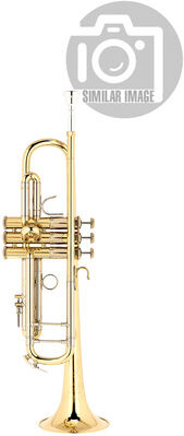 Bach ML19043 Bb- Trumpet lacquered