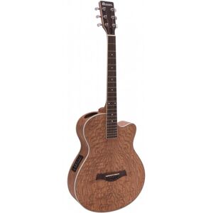 SP-100 Guitare western, nature - Guitares acoustiques