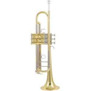 Yamaha YTR-8335 04 Trumpet