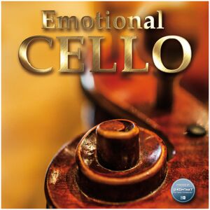 Best Service Emotional Cello