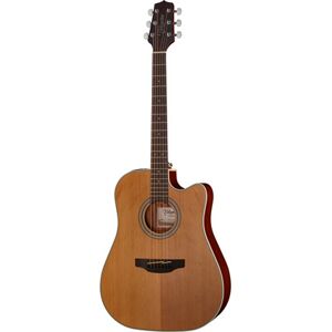 Takamine GD20CE-N Naturel mat