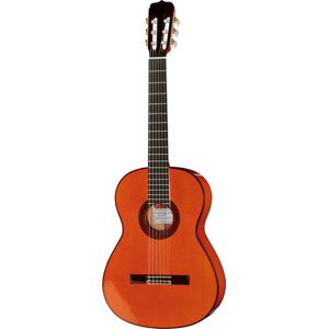 Ramirez Estudio Flamenco Naturel