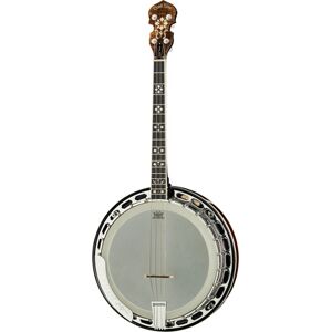 IT-250-F Irish Tenor Banjo w/C Vintage Brown