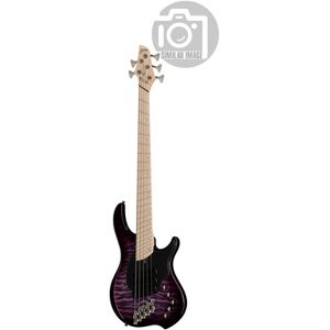 Dingwall CB3 Combustion 5 Ultra Violet Ultra Violet