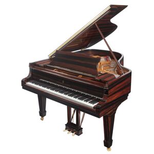 Steinway & Sons A-188 Makassar