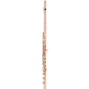 AS-1607 ERB 18K GP Flute