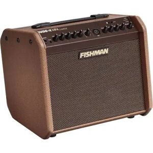 Fishman Amps Amplis electro-acoustiques/ LOUDBOX MINI CHARGE 60 WATTS