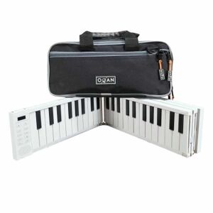 Pianos numeriques portables/ CARRY ON 88 + HOUSSE