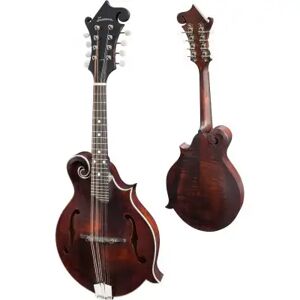 Eastman Mandolines et bouzoukis/ MD315 CLASSIC