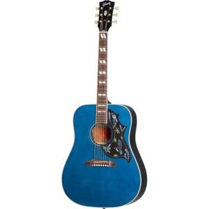 Epiphone Folk/ MIRANDA LAMBERT BLUEBIRD BLUEBONNET