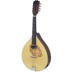 Gewa Mandolines et bouzoukis/ MANDOLE PRO ARTE FINITION BRILLANTE