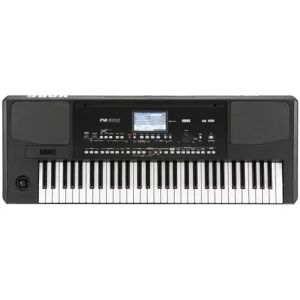 Korg Claviers arrangeurs/ PA-300