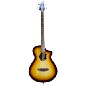 Basses acoustiques et électro/ DISCOVERY S CONCERT EDGE BASSE