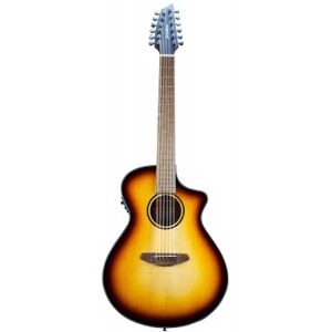 Breedlove 12 cordes electro/ DISCOVERY S CONCERT EDGE 12C