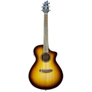 Breedlove Folk électro/ DISCO S CONCERT EDGE CE CEDRE