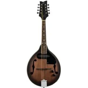 Ortega Mandolines et bouzoukis/ AMERICANA RMAE30-WB STYLE A ELECTRO