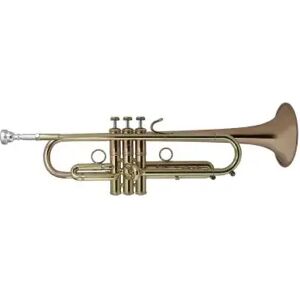 Bach Trompettes Sib professionnelles/ LT190-1B STRADIVARIUS - SIB VERNIE + PAV. BRONZE (LIGHT)