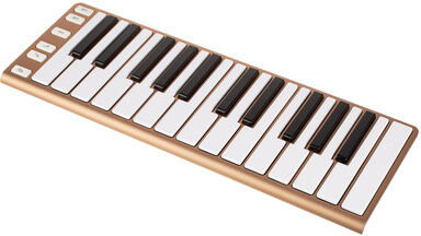 CME Xkey 25 gold