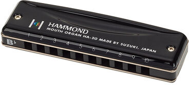 Suzuki HA-20 Hammond Bb