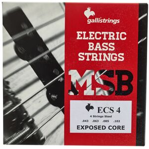 Galli Strings ECS4 Exposed Core Bass Str.