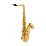 Sml Paris T420-Ii Bb Key / Tenor