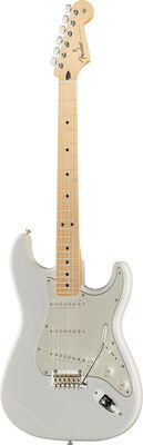 Fender Player Series Strat MN PWT