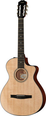 Taylor 312ce-N Nylon