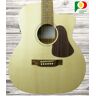 APC GA100 CW  Guitarra Acústica