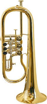 Gerd Dowids BZ-Series Bb-Flugelhorn G88 GP