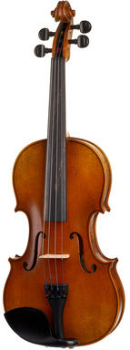 Karl Höfner Allegro 4/4 Violin Outfit