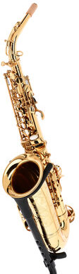 Forestone Alto Sax GX Gold Lacquered