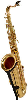 Schagerl Superior Tenor Sax. T-1L