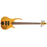 Grebeň 2008 Custom Bass 4 NT