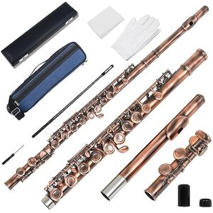 16 Hole Antique Flute Set Professional C Key Horizontal Flute With BackpackGloves flute instrument (Color : Antique)