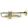 Benjamin Adams TP100 Beginner Bb Trumpet Outfit