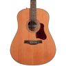 Seagull Coastline Momentum High Gloss Acoustic-Electric Guitar