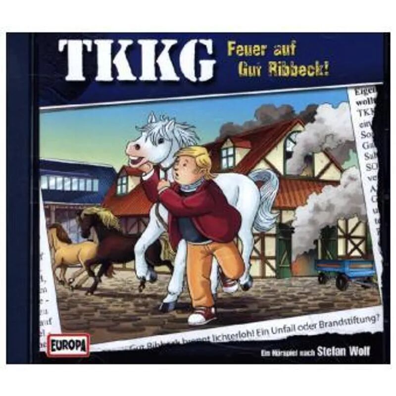 Pelikan TKKG - Feuer auf Gut Ribbeck!