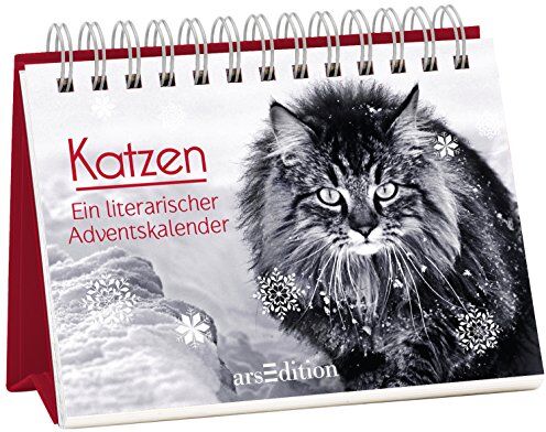 kein Autor - Katzen: Ein literarischer Adventskelender - Preis vom 14.03.2021 05:54:58 h