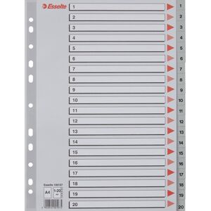 Esselte Register   A4   Plast   Grå   1-20