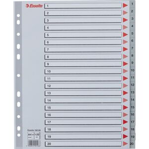 Esselte Maxi Register   A4   Plast   Grå   1-20