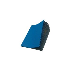 Herlitz Colorspan - Klassificeringsmappe - 12 rum - 12 dele - præ-trykt: A-Z, 1-12 - for A4 - med faneblade - sort, blå
