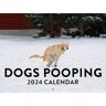 Sjov kalendergave 2024-kalender for hundepooping-kalender