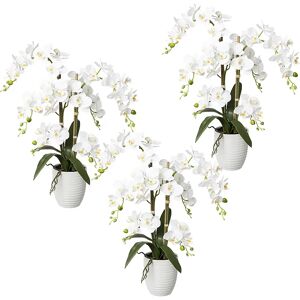 kaiserkraft Phalaenopsis, real touch, altura 670 mm, UE 3 unid., maceta de cerámica, blanca